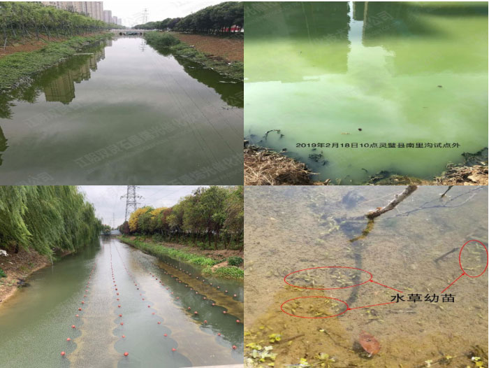 黑臭水体治理-安徽省泸州市灵璧县南李沟