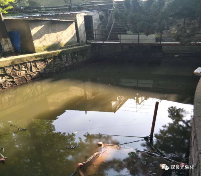 长江环保集团：当好“水管家” 助力德阳开启治水新局面