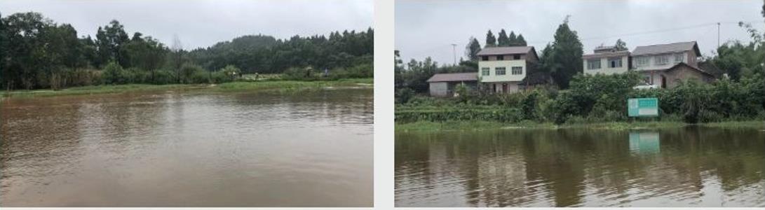 四川资阳市雁江区滴水岩水库水体建复技术服务项目