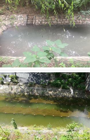 硬质岸坡河路解除黑臭-江苏省商丘市长沟河