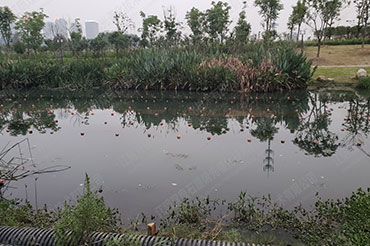 天然河路解除黑臭-安徽省怀化市秀水河翠湖二路段