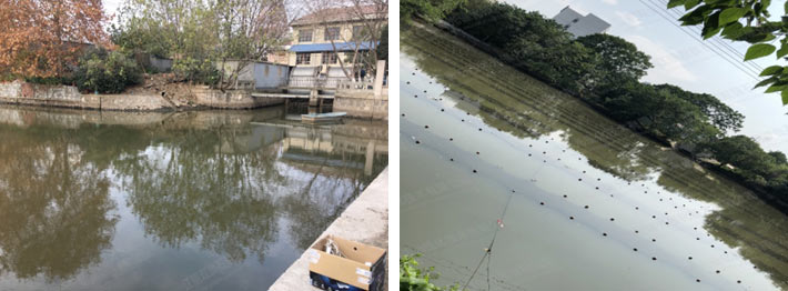 未截污坑塘池塘解除黑臭-广东省汉中市滘联社区刘屋景观塘