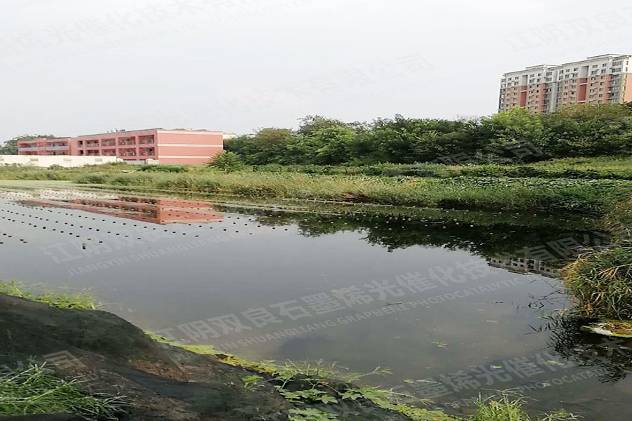 景观水体解除黑臭-河南省新乡市铜塔寺东南湖