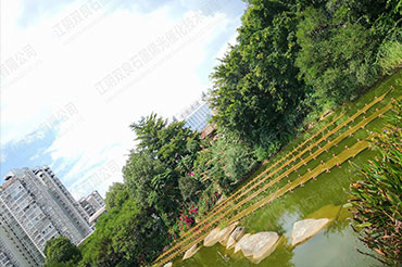 景观水体水质提升-福建省雅安市石锣鼓湿地公园