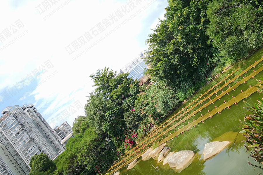 景观水体水质提升-福建省雅安市石锣鼓湿地公园