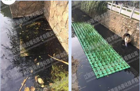 抓住投标机遇！4.3亿山西沁咸阳头生态建复及水环境治理工程EPC（设计、施工）总承包项目延期