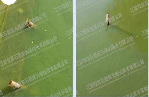 荆门西溪湿地水环境治理项目（一期）污水管网刷新工程招标