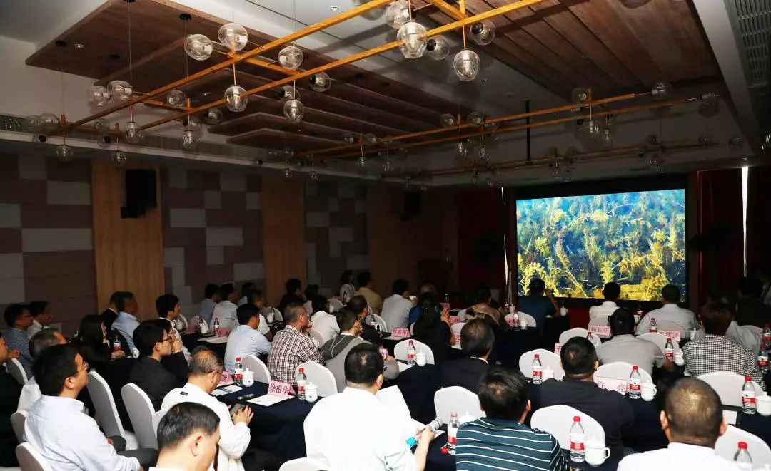 扑克之星 – PokerStars中文网