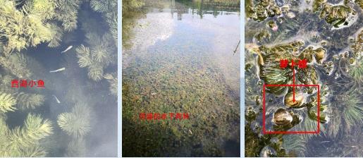 超20亿元 中铁六局集团中标湖南湘江新区湘阴片区河湖生态环境治理及产业绿色发展项目（一期）