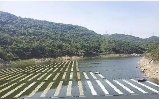 扑克之星环境新型光催化技术援手嵊泗提升水库水质