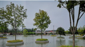 城市河道传染治理技术（二）