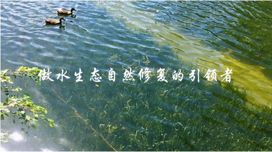 PMAES科研系统横向课题钻研会顺利召开