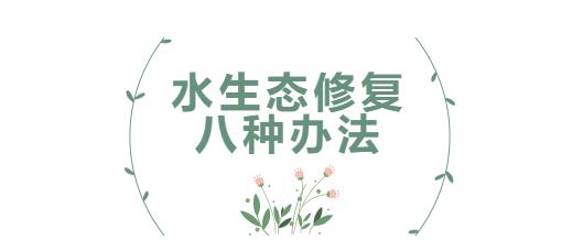 科普幼讲堂第31期 | 水生态建复的八种法子