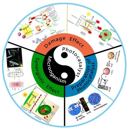 扑克之星 – PokerStars中文网