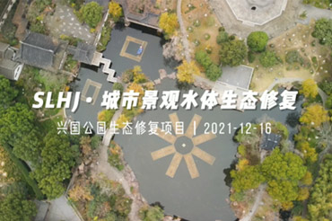 城市景观水体生态建复项目-兴国公园生态建复项目