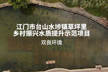景观水体建复项目-广东山南台山草坪村村落振兴项目
