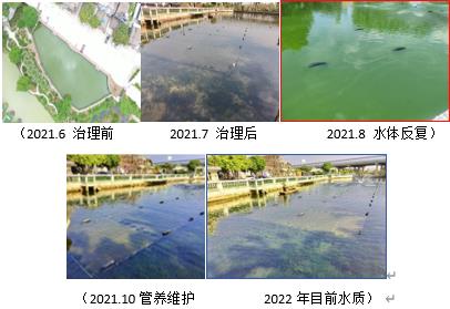水生态建复技术