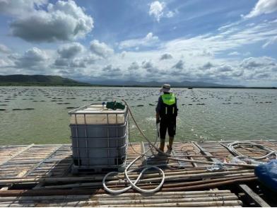 水生态建复不只是各种水草这么单一