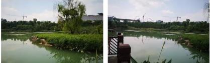 贵阳云盘唱晚景区景观湖生态建复工程筹备工作就绪