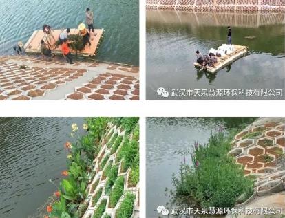 关于氨氮有这些幼学问