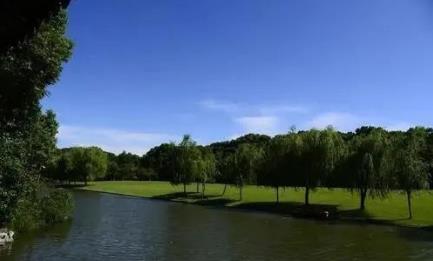 4d2c76b08855594e2c67dc39aab4c001 幼流域水传染综合治理战术