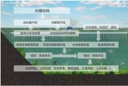 成本大幅降落大规模光催化造氢不是梦