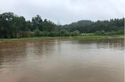 城市河湖水环境传染问题愈加凸起
