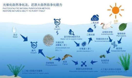 洱海高水平；ち饔蚋咧柿糠⒄