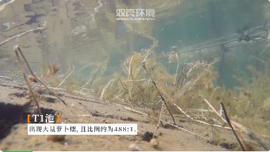 湖山水库水源地整治成效显著村民起头饮用水库水