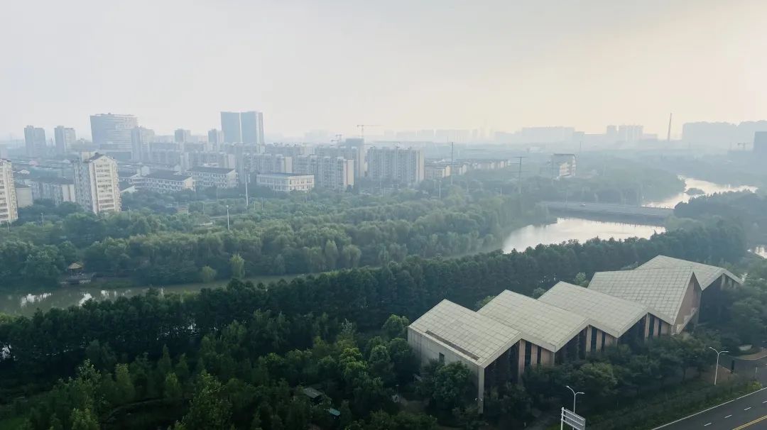科普幼讲堂第43期丨什么是湖滨带