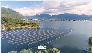 黑臭水体整治有序推动城区“水清岸绿”景致宜人