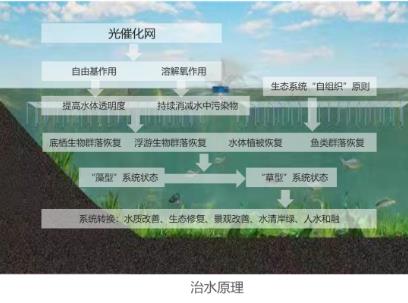 “龙须沟”造成景观带 生态治理还民水清岸绿