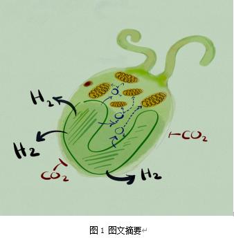  扑克之星环境最新科研动态(2022-09)