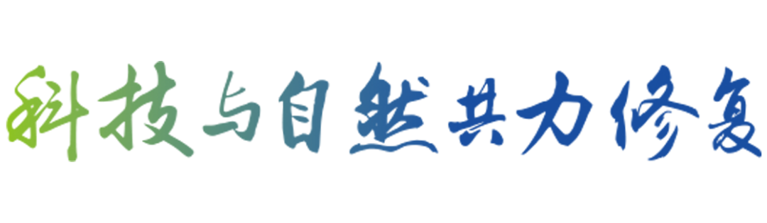 城镇生涯污水处置水环境治理与建复