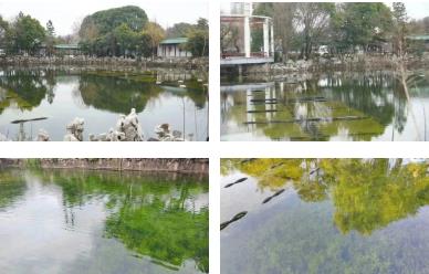 加强村落污水处置是治理黑臭水体的沉要行动
