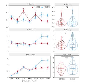 扑克之星 – PokerStars中文网