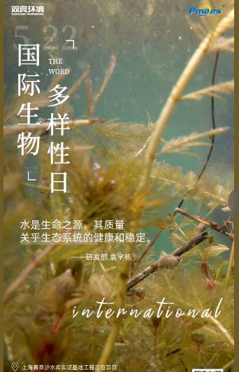 5.22生物多样性日｜共护碧水清波，共建和谐生态！