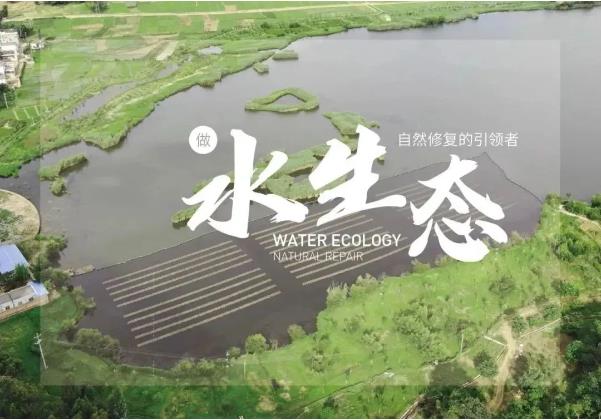 扑克之星 – PokerStars中文网