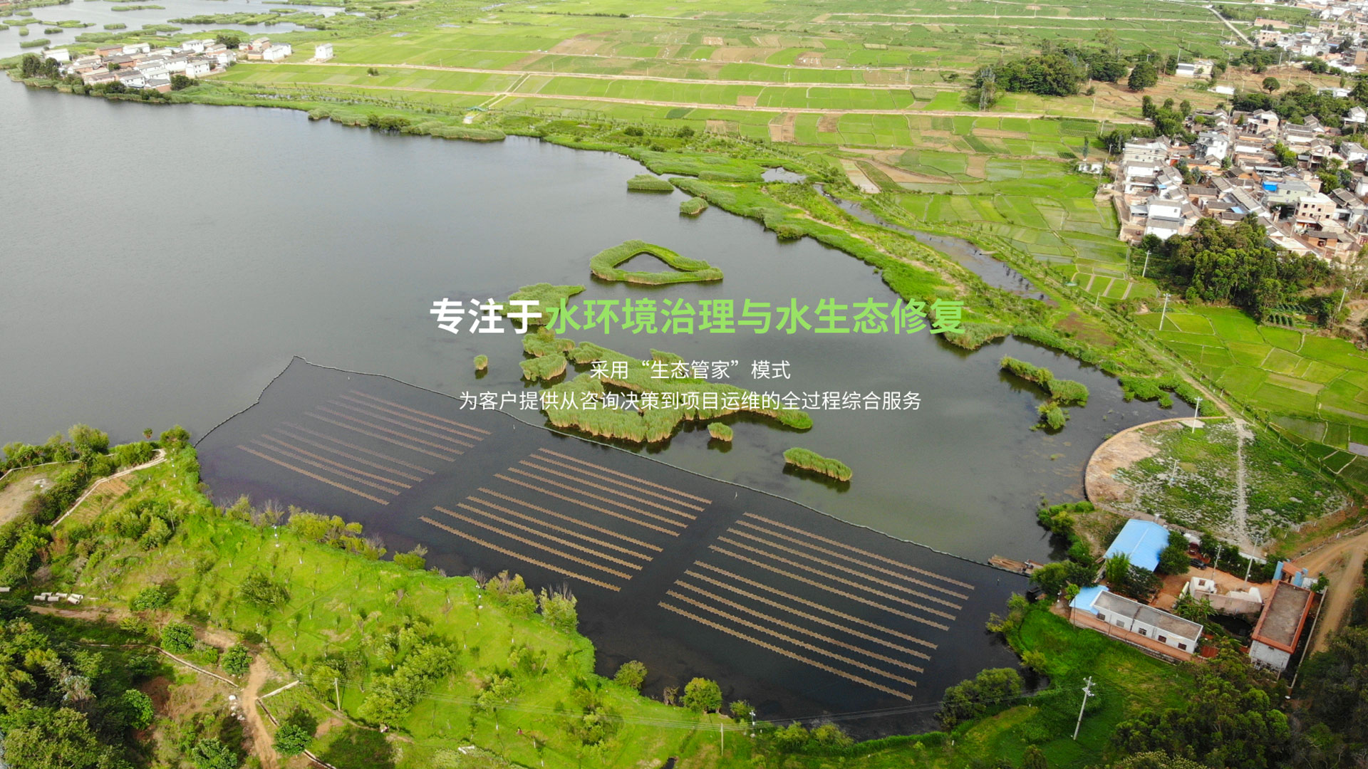 水生态建复